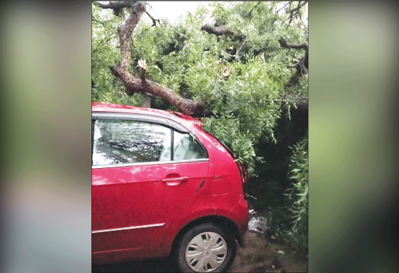 ஓசூர், சூளகிரி பகுதிகளில் சூறைக்காற்றுடன் பலத்த மழை