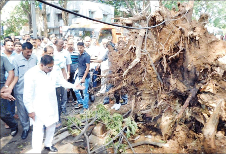 பெங்களூருவில் மழை பாதித்த பகுதிகளில் 61 குழுக்கள் மூலம் நிவாரண பணி