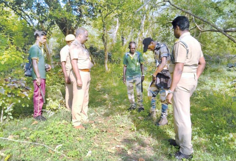 முதுமலையில், வனவிலங்குகள் கணக்கெடுப்பு பணி தீவிரம்