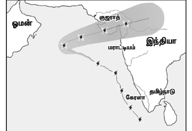 திசை மாறுகிறது: ‘மஹா’ புயல் 6-ந் தேதி குஜராத்தை தாக்குகிறது 201911040247061188_The-direction-changes-Maha-Storm-hits-Gujarat-on-6th_SECVPF