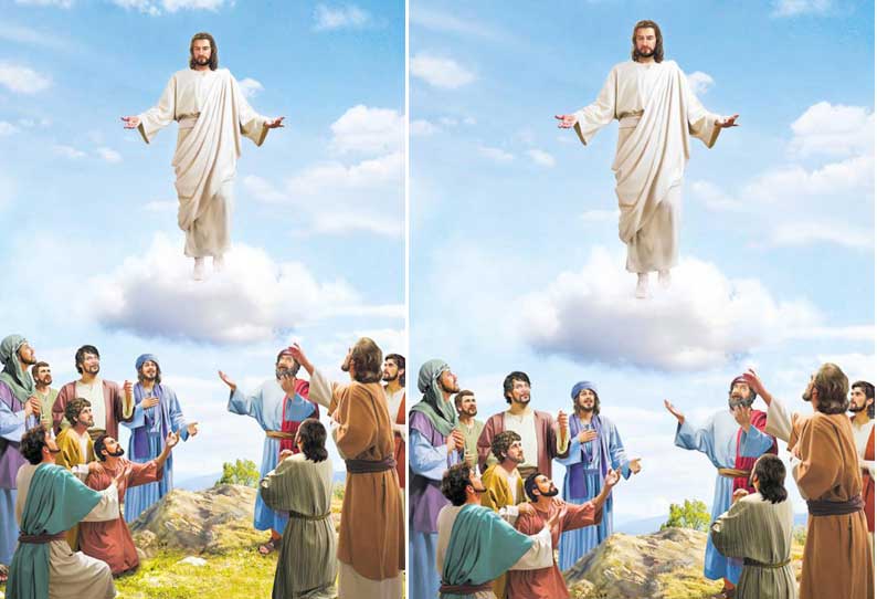 ஒளிகாட்டும் வழிகாட்டி ஒளிகாட்டும் வழிகாட்டி