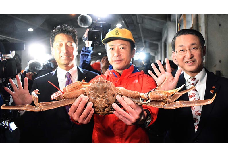ஜப்பானில் ரூ.33 லட்சத்துக்கு ஏலம் போன நண்டு 201911090311477037_In-Japan-the-crab-was-auctioned-for-Rs-33-lakh_SECVPF