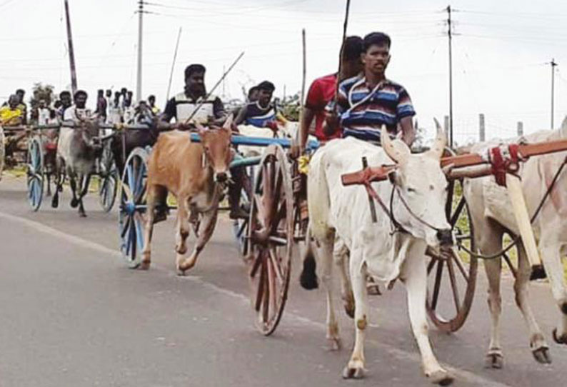 ஸ்ரீவைகுண்டம் அருகே மாட்டு வண்டி போட்டி