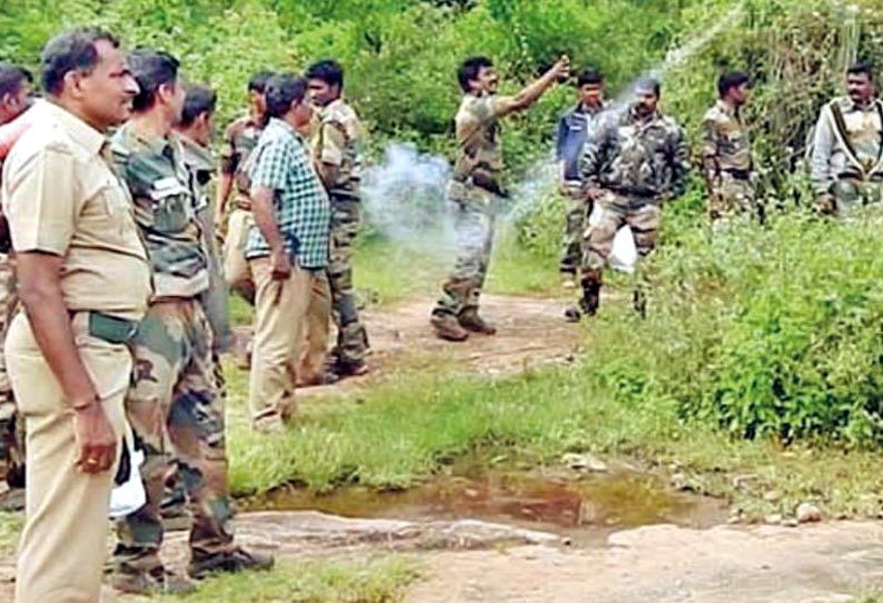 பெரும்பாறை, பெரியூர் பகுதிகளில், அட்டகாசம் செய்த காட்டுயானைகள் பட்டாசு வெடித்து விரட்டியடிப்பு