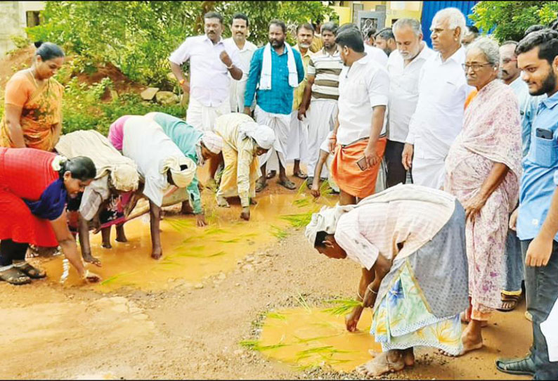 காரைக்குடி அருகே மேடு பள்ளமான மயானப் பாதையை சீரமைக்ககோரி நாற்று நடும் போராட்டம்