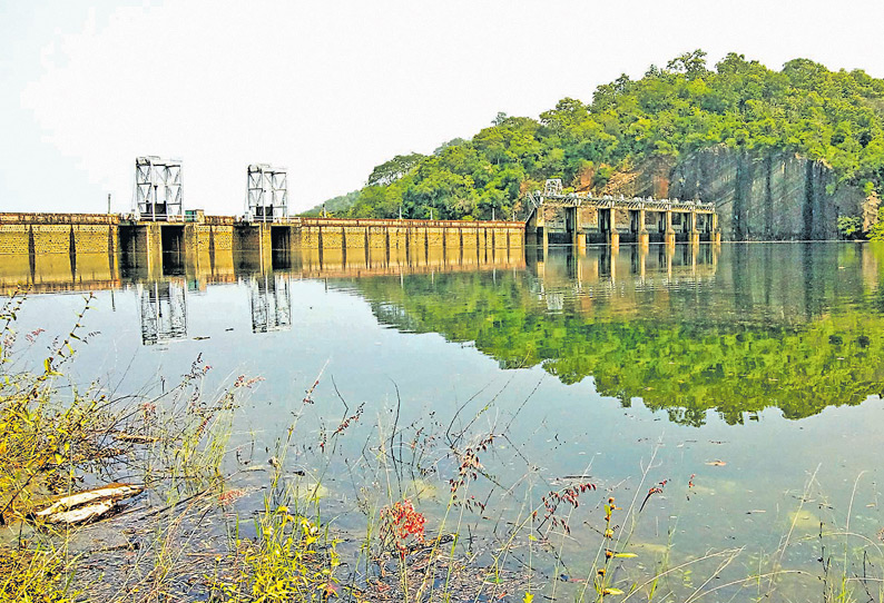 நெல்லை மாவட்டத்தில் பலத்த மழை; அணைகள் நீர்மட்டம் உயர்கிறது