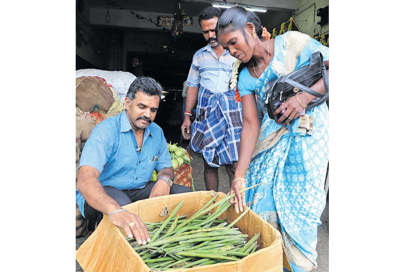 வரலாறு காணாத விலை உயர்வு: முருங்கைக்காய் ஒரு கிலோ ரூ.220-க்கு விற்பனை