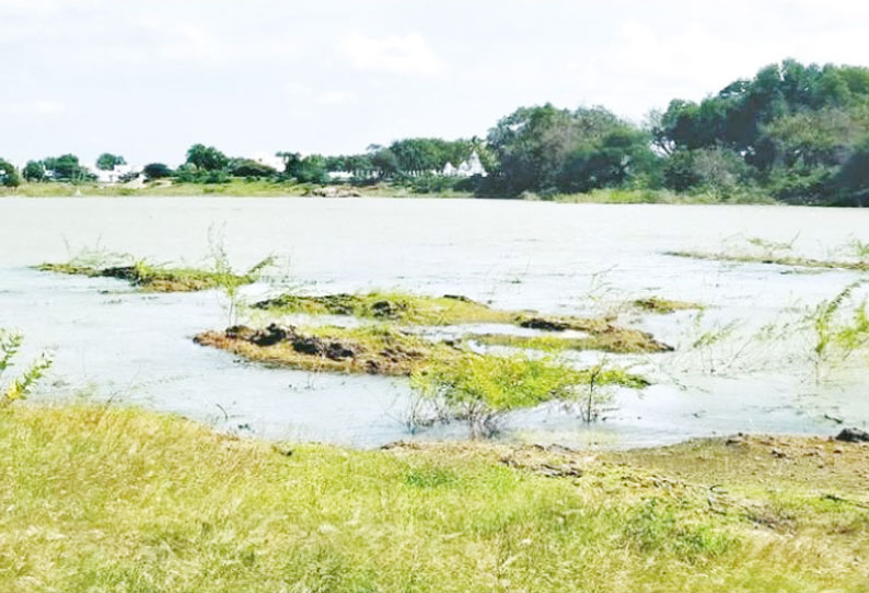 30 ஆயிரம் பேருக்கு குடிநீர் தரும் அனுப்பன்குளம் கண்மாயை தூர்வார கோரிக்கை