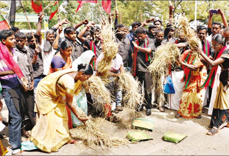 கோரிக்கைகளை நிறைவேற்றக்கோரி, கலெக்டர் அலுவலக வளாகத்தில் நெற்கதிர் அடித்து நூதன போராட்டம்