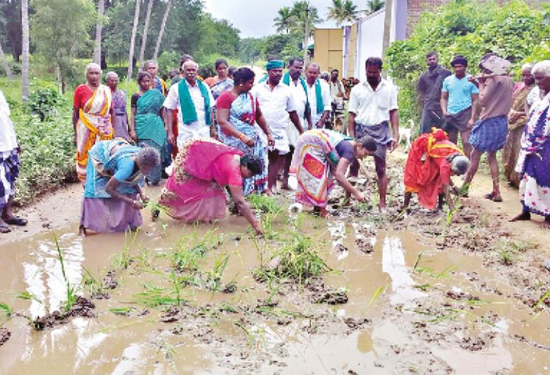 கூடலூர் அருகே, சாலையை சீரமைக்க கோரி நாற்று நடும் போராட்டம்