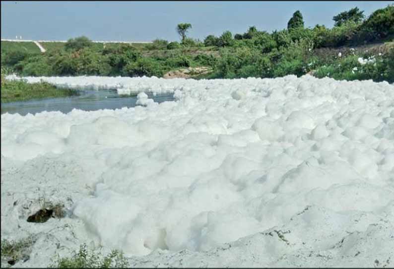 ஓசூரில் தென்பெண்ணை ஆற்றில் ரசாயன கழிவுகளால் நுரையுடன் வந்த தண்ணீர்