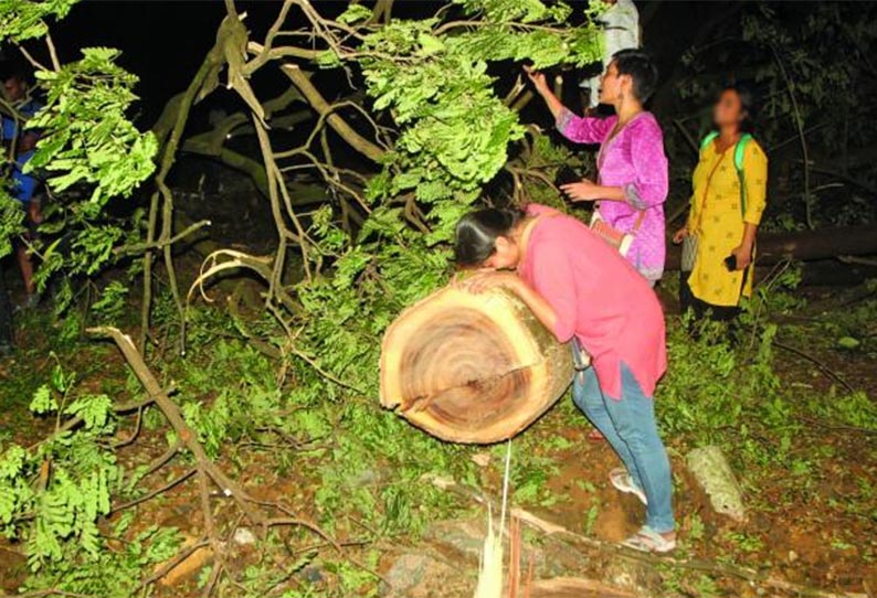 மெட்ரோ ரெயில் பணிக்காக மரங்களை வெட்ட எதிர்ப்பு: மும்பையில் போராட்டம் வெடித்தது