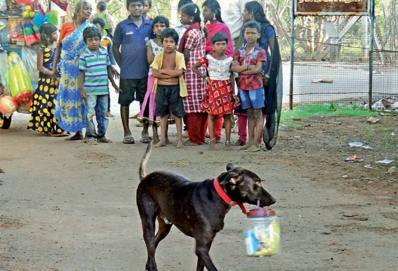 எஜமானரின் சொல்லை கேட்டு தினமும் கடைக்கு சென்று பொருட்களை வாங்கி வரும் நாய் திசையன்விளை அருகே ருசிகரம்