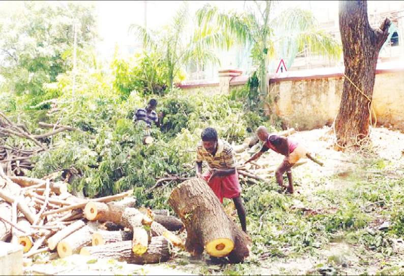 போக்குவரத்து நெரிசல் காரணமாக கலெக்டர் அலுவலக சுற்றுச்சுவரை இடித்து பஸ் நிறுத்தம் அமைக்கப்படுகிறது