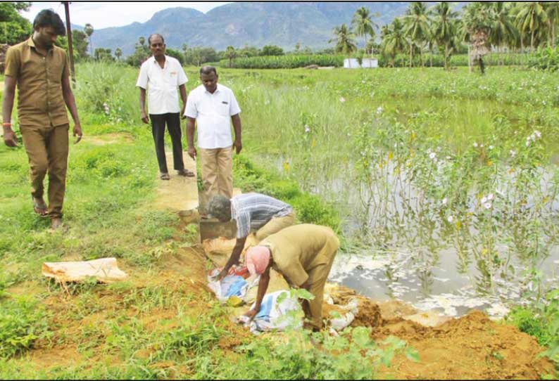 களக்காடு அருகே நிரம்பிய பெரிவிளாங்குளம் உடையும் அபாயம் மணல் மூட்டைகள் அடுக்கி விரிசல் சீரமைப்பு