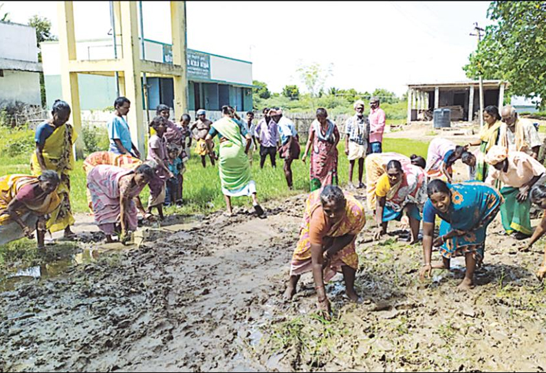 பெண்ணாடம் அருகே, சேறும் சகதியுமான சாலையில் கிராம மக்கள் நாற்று நடும் போராட்டம்