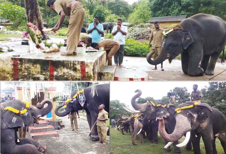 முதுமலை, டாப்சிலிப்பில், விநாயகருக்கு பூஜை செய்த வளர்ப்பு யானைகள் - சுற்றுலா பயணிகள் கண்டு ரசித்தனர்