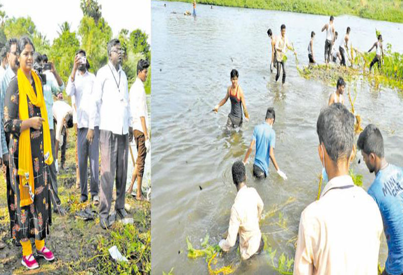 அம்பை, கல்லிடைக்குறிச்சியில் தாமிரபரணி ஆற்றை சுத்தப்படுத்தும் பணி கலெக்டர் ஷில்பா பார்வையிட்டார்