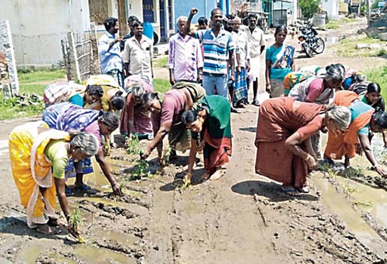 திட்டக்குடி அருகே, சேறும், சகதியுமான சாலையில் நாற்று நட்டு கிராம மக்கள் போராட்டம்