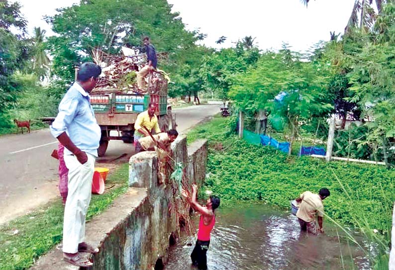 தினத்தந்தி செய்தி எதிரொலி: வாய்க்காலில் தேங்கி கிடந்த குப்பைகள் அகற்றம்