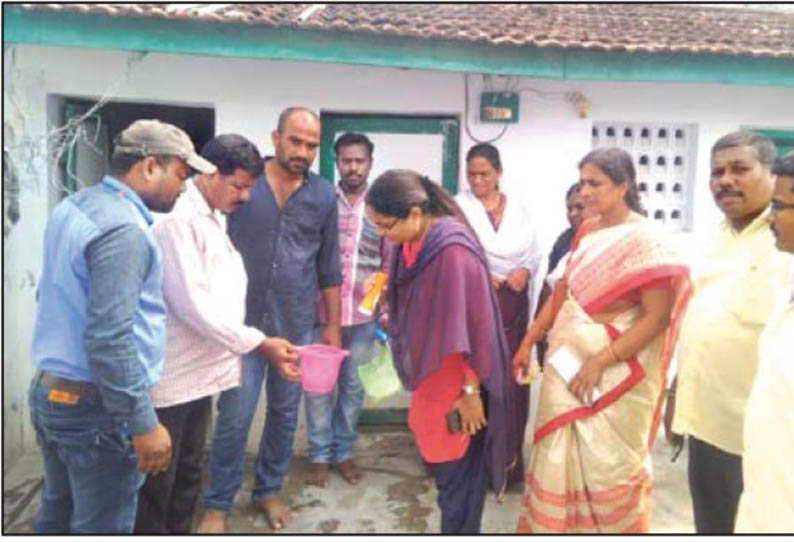 கே.வி.குப்பம் அருகே, அக்காள்-தங்கை டெங்கு காய்ச்சலால் பாதிப்பு - கிராமத்தில் முகாமிட்டு சுகாதார பணிகள் தீவிரம்