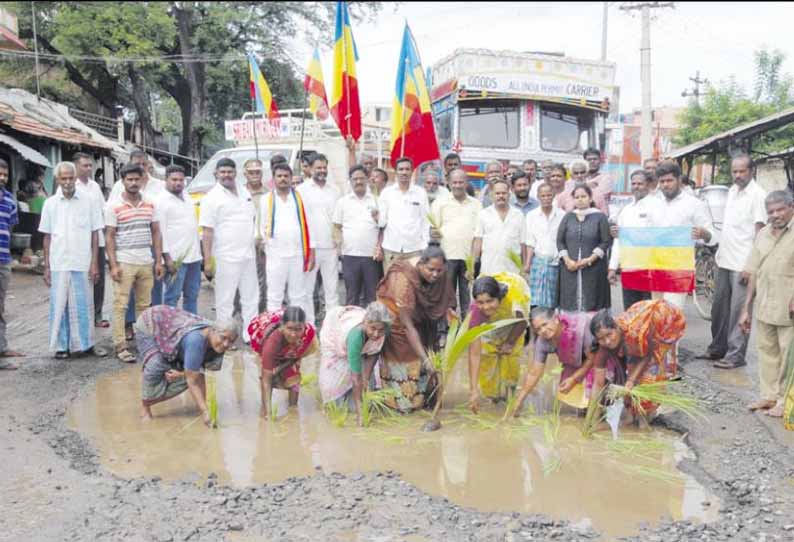 குடியாத்தம்-சித்தூர் சாலையை சீரமைக்கக்கோரி நாற்றுநடும் போராட்டத்தில் ஈடுபட்ட பா.ம.க.வினர்