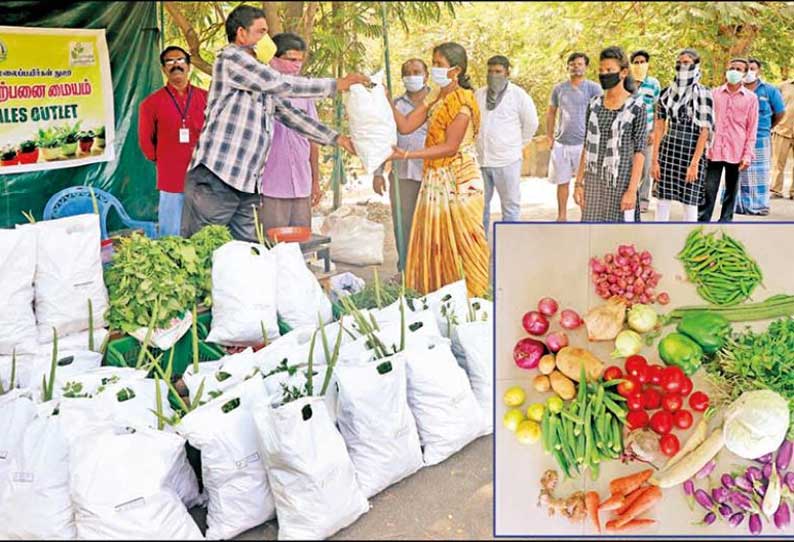 தோட்டக்கலைத்துறை சார்பில் 20 காய்கறி அடங்கிய தொகுப்பு - சென்னைவாசிகளிடம் அமோக வரவேற்பு