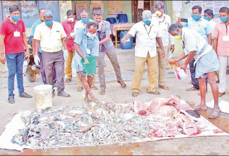 காரைக்குடி மார்க்கெட்டில் கெட்டுப்போன மீன்-ஆட்டு இறைச்சி பறிமுதல்