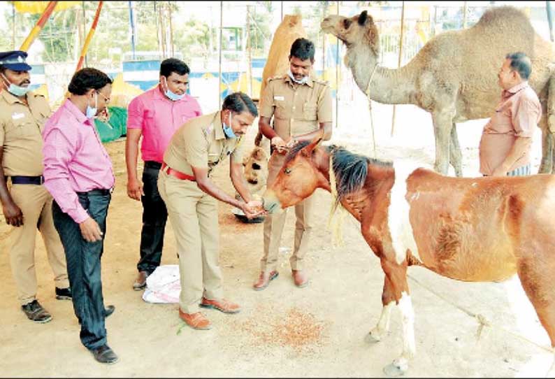 திருவள்ளூர் மாவட்டத்தில் தொடரும் மனிதநேயம்: சர்க்கஸ் கலைஞர்கள், விலங்குகளுக்கு உணவு வழங்கிய போலீசார்