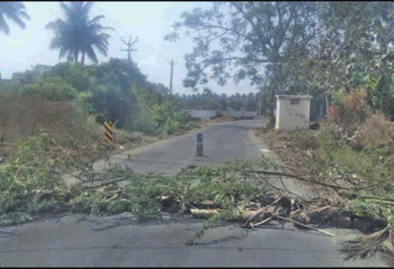 மங்கலம் பகுதி கொரோனா தடுப்பு கட்டுப்பாடு மண்டலமாக அறிவிப்பு  - பிரதான சாலைகளுக்கும் ‘சீல்’