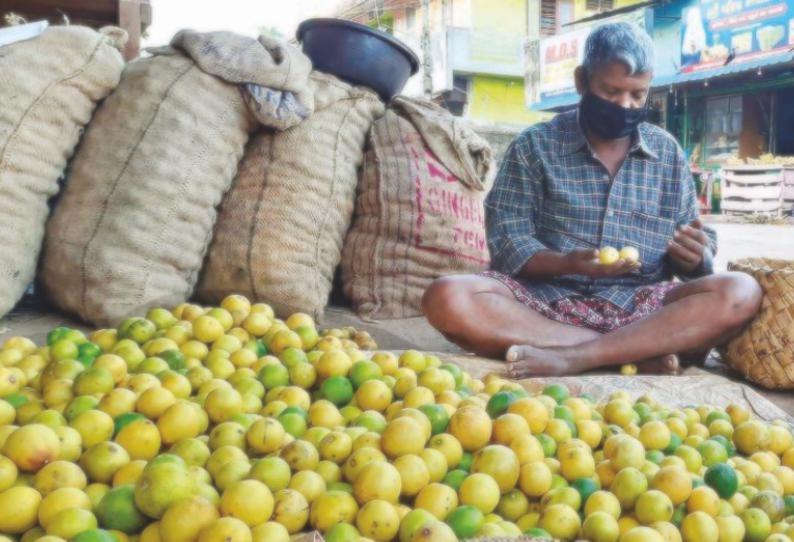 எலுமிச்சை பழம் விலை வீழ்ச்சி குமரியில் கிலோ ரூ.50-க்கு விற்பனை