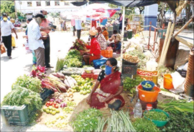 ஊரடங்கால் குமரியில் கீரை விலை கடும் வீழ்ச்சி ஒரு கட்டு ரூ.5-க்கு விற்பனை