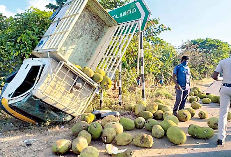 திண்டிவனம் அருகே, பலாப்பழம் ஏற்றிச்சென்ற சரக்கு வாகனம் கவிழ்ந்தது - பெண் உள்பட 3 பேர் படுகாயம்