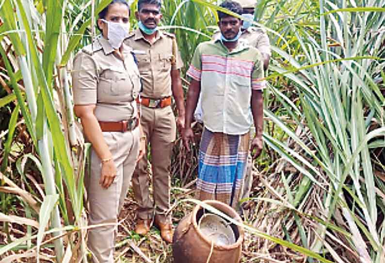 கடலூர் அருகே, கரும்பு தோட்டத்தில் சாராயம் காய்ச்சிய 4 பேர் கைது