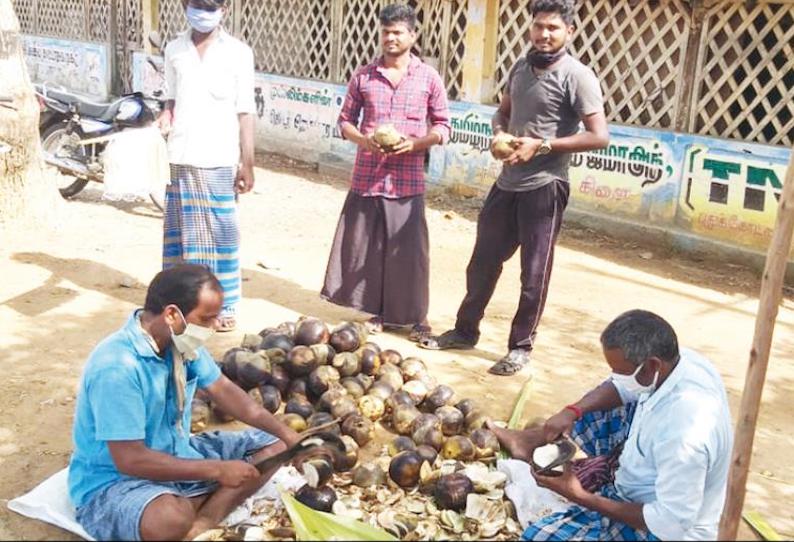 கறம்பக்குடி பகுதியில் ஊரடங்கால் நுங்கு விற்பனை கடும் பாதிப்பு பனைஏறும் தொழிலாளர்கள் தவிப்பு