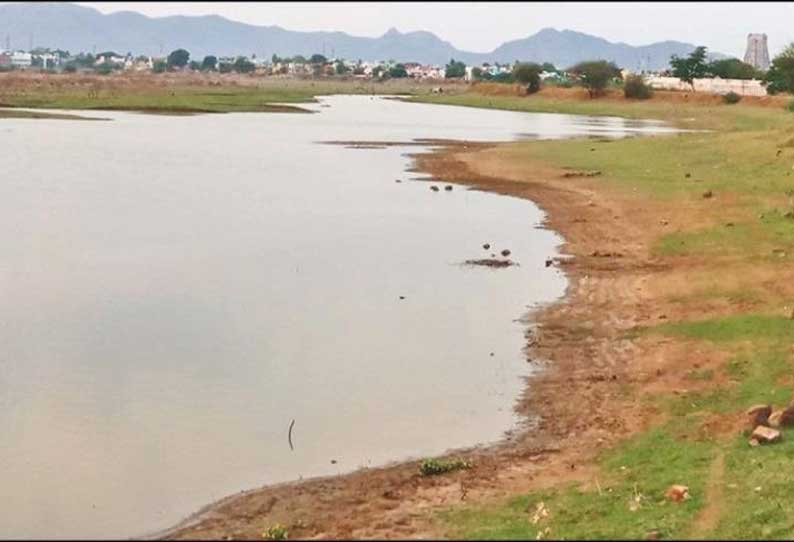 ஸ்ரீவில்லிபுத்தூர் பெரியகுளம் கண்மாயில் தண்ணீர் வற்றியதால் நிலத்தடி நீர்மட்டம் குறையும் அபாயம்