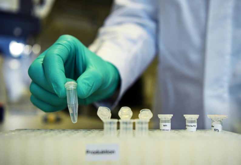 Over 6 65 Lakh Samples Tested So Far Data From South States Maharashtra 