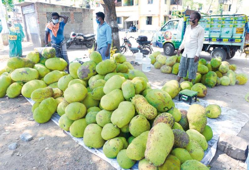 ஊரடங்கிலும் களைகட்டுகிறது: வடகாடு பலாப்பழங்கள் விற்பனைக்கு வரத்தொடங்கின கிலோ ரூ.20-க்கு கிடைக்கிறது