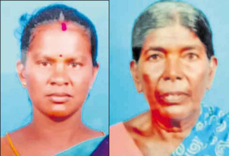 ஓட்டப்பிடாரம் அருகே, மின்னல் தாக்கி 2 பெண்கள் பலி - தோட்டத்தில் வேலை செய்தபோது பரிதாபம்