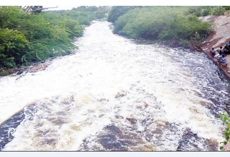 நொய்யல் ஆற்றில் கலந்து வரும் சாயக்கழிவு நீரால் பயிர்கள் பாதிப்பு: நிவாரணம் வழங்க விவசாயிகள் கோரிக்கை