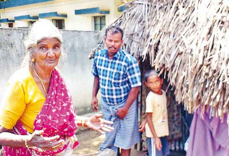 திருவையாறு அருகே, மூதாட்டி வீடு புகுந்து நகை-பணத்தை அரிசி பையுடன் தூக்கிச்சென்ற குரங்குகள்