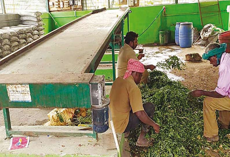 தென்காசியில் நுண்ணுயிர் உரக்கூடத்தில் பணியாளர்கள் குப்பைகளை பிரிக்கும் பணியில் ஈடுபட்டுள்ளதை படத்தில் காணலாம்