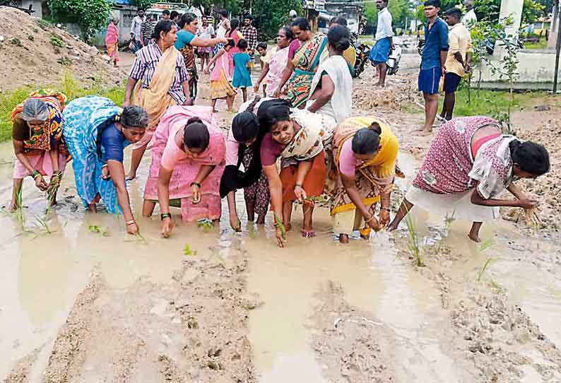 திருவெண்ணெய்நல்லூர் அருகே சேறும், சகதியுமான சாலையில் நாற்று நடும் போராட்டம்