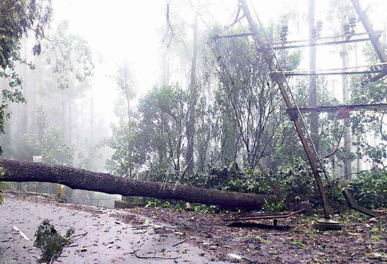 ஏற்காடு நாகலூர் சாலையில் மரம் விழுந்து கிடந்ததையும், டிரான்ஸ்பார்மர் சேதம் அடைந்துள்ளதையும் படத்தில் காணலாம்