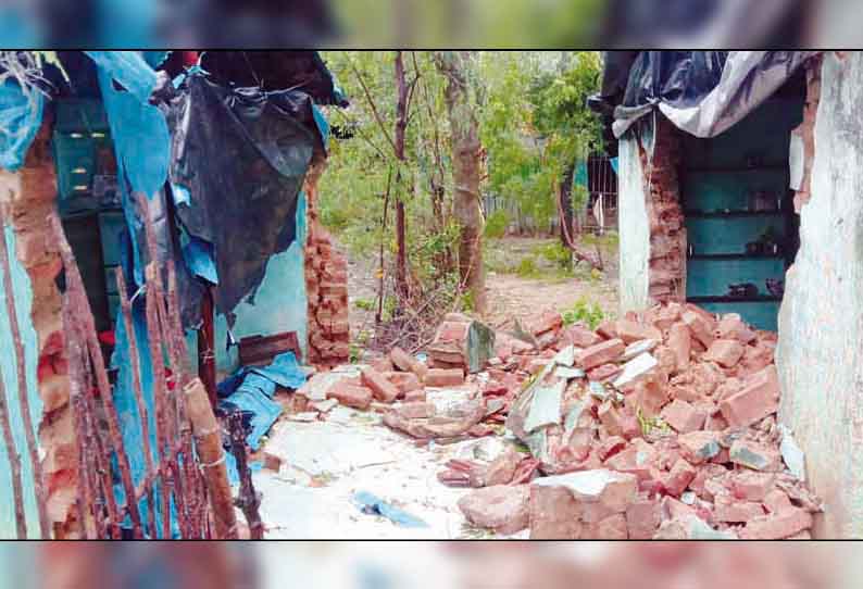 அரியலூர் மாவட்ட பகுதிகளில் சூறைக்காற்றுடன் மழை மரங்கள், நெற்கதிர்கள் சாய்ந்தன