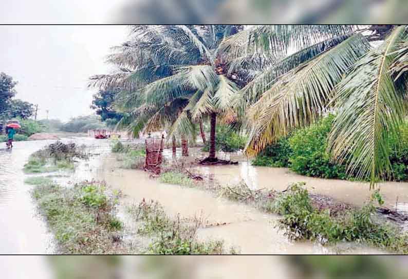 மருதை ஆற்று வெள்ளம் விளை நிலங்களுக்குள் புகுந்தது