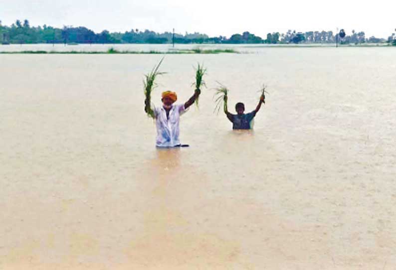 நிவர் புயலால் பாதிக்கப்பட்ட பகுதிகளில் மத்திய குழு இன்று நேரில் ஆய்வு