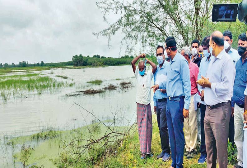 முத்துப்பட்டினம் பகுதியில் விவசாய நிலங்களை மாவட்ட கண்காணிப்பு அலுவலர், மாவட்ட கலெக்டர் பார்வையிட்ட காட்சி