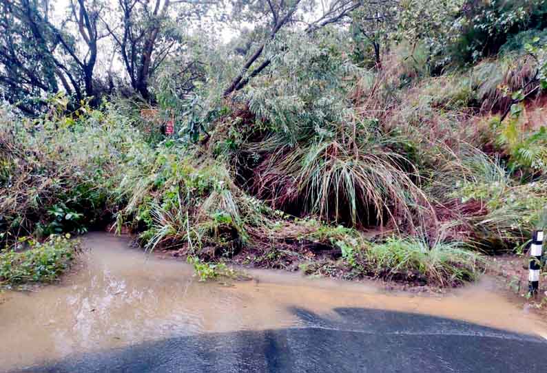 கொட்டித்தீர்த்த கனமழை எதிரொலி: கொடைக்கானல் மலைப்பாதையில் மண்சரிவு; போக்குவரத்து துண்டிப்பு