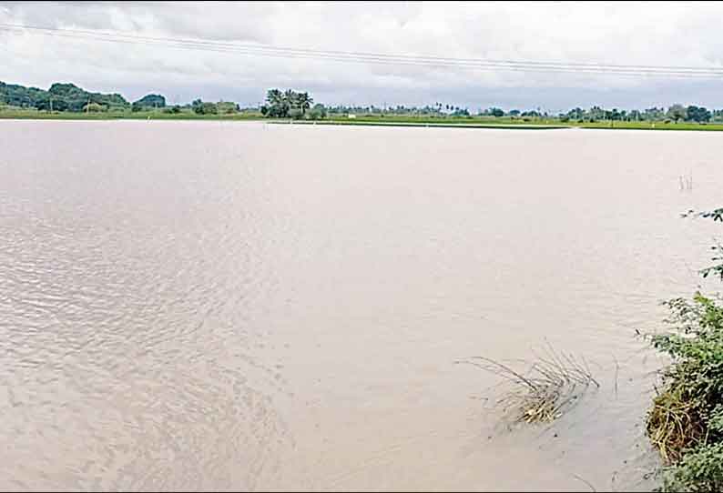 வீராணம், பெருமாள் ஏரிகளில் தண்ணீர் திறப்பு: 30 கிராமங்களை தண்ணீர் சூழ்ந்தது